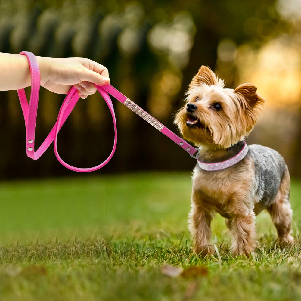 Collar para perros de ante con correa.